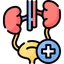 urology department