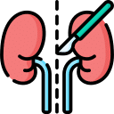 LAP Nephrectomy