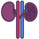 Percutaneous nephrolithotomy