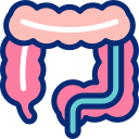 sigmoidoscopy